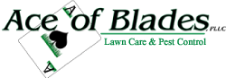 Northwest Arkansas Lawn Care, Ace Of Blades Lawn And Landscaping