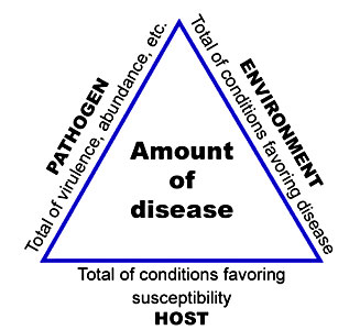disease-triangle