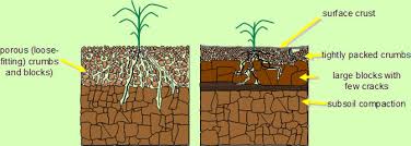 soil-picture